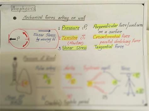 Solution Cvs Dr Nagi Diagrams Studypool