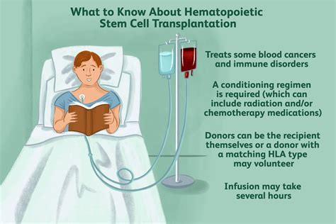 Hematopoietic Stem Cell Transplantation Prep Process And More