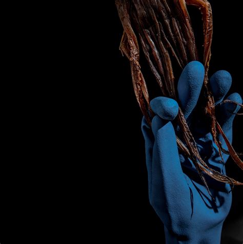 FOOD PORN TAIWAN Food Photography On Behance