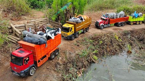 Wadidau Proses Sapi Kurban Melahirkan Cesar Simulasi Potong Sapi