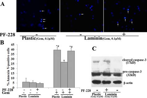 Effects Of Pf On Ln Mediated Gem Chemoresistance In Aspc Cells