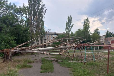 Штормовой ветер валит в Донецке деревья - МК Донбасс