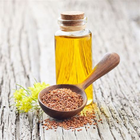 Buy Bulk Camelina Oil Virgin Jedwards International