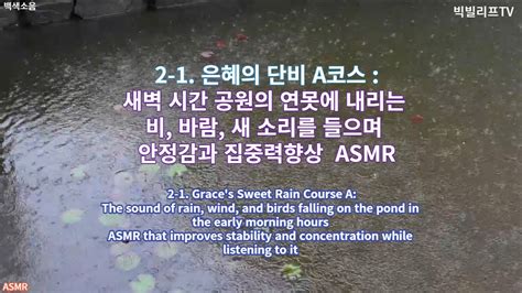 2 1은혜의 단비asmr A코스연못에 내리는 비편안함집중력불면증 5시간 Rain Falling On The