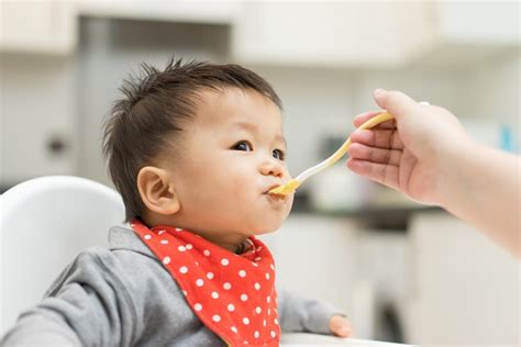 Persiapan Dan Jadwal Pemberian MPASI Bayi 6 Bulan