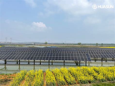 Thailands FIRST Floating HJT PV Project Huasun And Grow Energy Sign