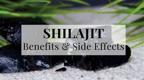 Shilajit Health Benefits Uses Side Effects And More