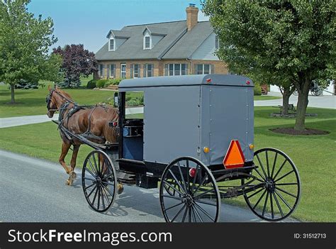 Amish Horse-drawn Carriage - Free Stock Images & Photos - 31512713 | StockFreeImages.com