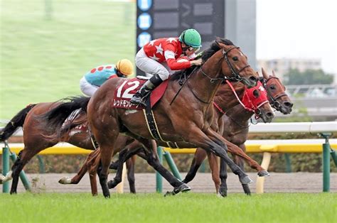 【亀井の土曜競馬コラム・京王杯スプリングc】 日刊ゲンダイ競馬