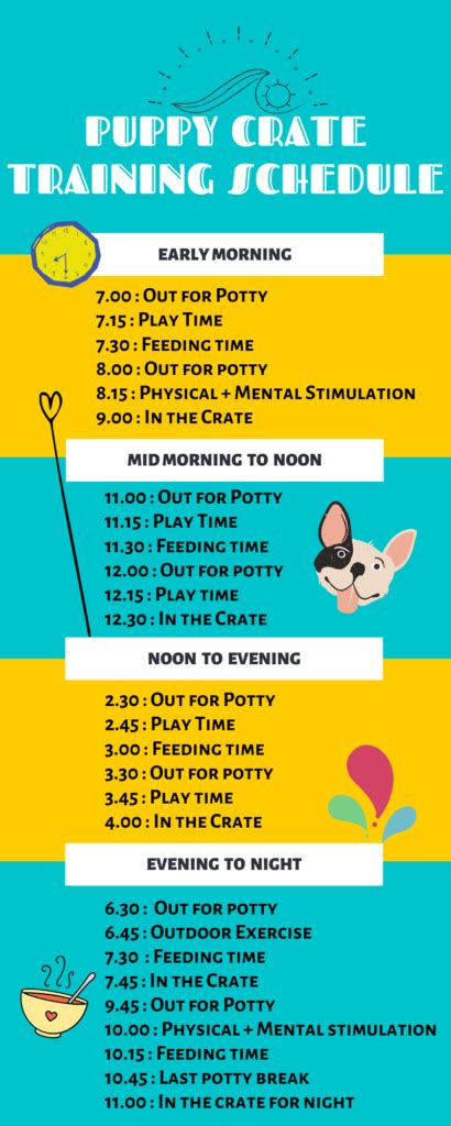 Crate Training Puppies Schedule
