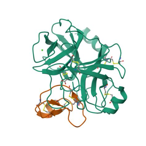 RCSB PDB 4GUX Crystal Structure Of Trypsin MCoTi II Complex