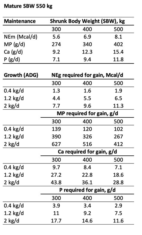 Optimizing Cattle Feed: Essential Nutrition Requirements for Beef Cattle