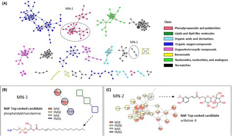 Figure 2 From Molecular Networking Guided Isolation Of A Phenolic