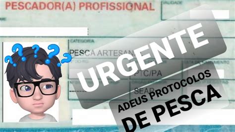 COMO TIRAR A CARTEIRA PROFISSIONAL DE PESCA Adeus Protocolos YouTube