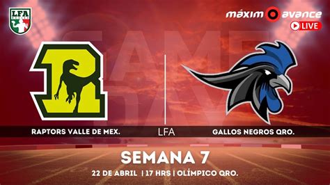 Lfa En Vivo Raptors Valle De M Xico Vs Gallos Negros Quer Taro