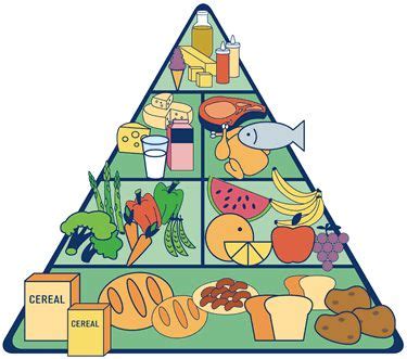 El engaño de la Pirámide Nutricional Blog de OutletSalud