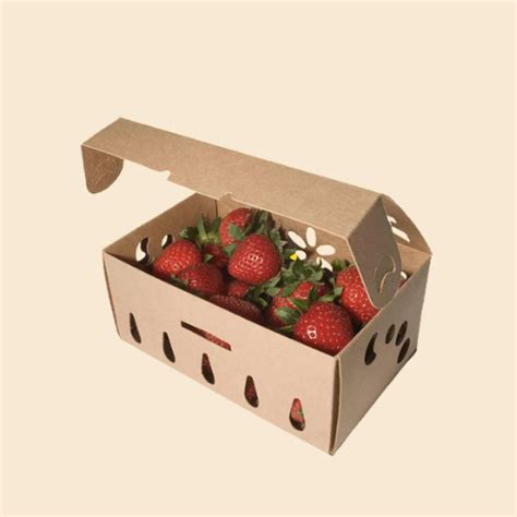 Eco Friendly And Protective Strawberry Packing Boxes Best4u