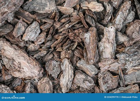 Mulching Flowerbed With Pine Tree Bark Mulch As Background Heap Of Dry