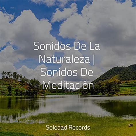 Amazon Music Unlimited Sonidos De Truenos Y Lluvia Piano Para