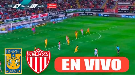 Tigres Vs Necaxa En Vivo ⚽ Liga Mx Clausura Jornada 16 Rey