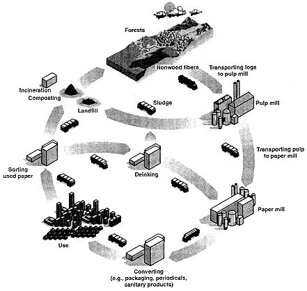 7 The Pulp And Paper Industry Industrial Environmental Performance