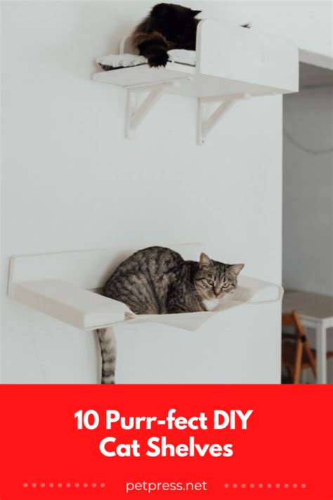 10 DIY Cat Shelves That Look Purr-fectly Fabulous