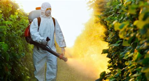 Fumigar Qué es y métodos de fumigación Jardinedia