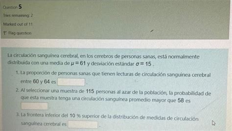 Solved La Circulaci N Sangu Nea Cerebral En Los Cerebros De Chegg