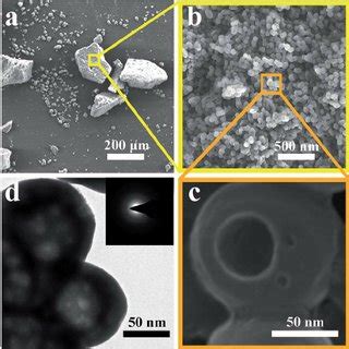 A B And C FESEM Images Of PmPDA Under Different Magnification D