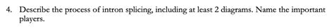 Solved 4. Describe the process of intron splicing, including | Chegg.com