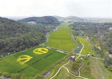 镇江日报多媒体数字报刊乡村振兴新图景