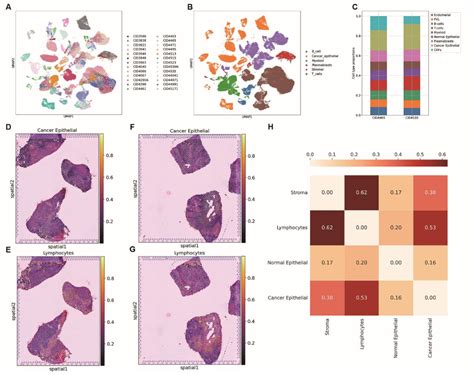 Figure From Stdgcn Accurate Cell Type Deconvolution Using Graph