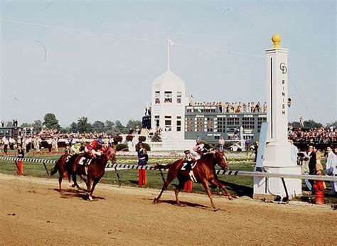 Affirmed 1978 Kentucky Derby Derby Horse Horses