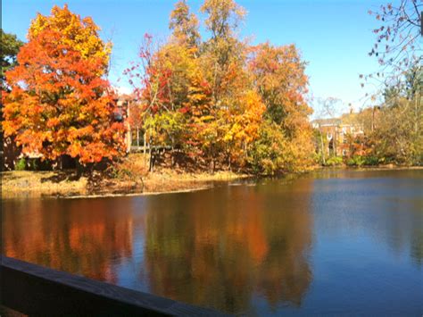 Peaking Out -- Colorful Fall Foliage | Mansfield, CT Patch