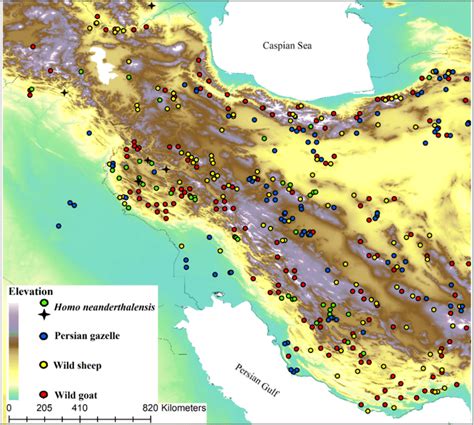 Presence Records Of Neanderthals And Its Prey Species Neanderthals