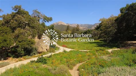 Visit The Santa Barbara Botanic Garden YouTube