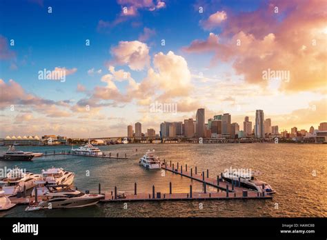 Downtown Miami Florida Usa And The Port Seen From Macarthur