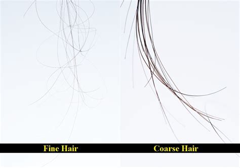 Fine Hair vs. Coarse Hair: How To Tell the Difference – HairstyleCamp