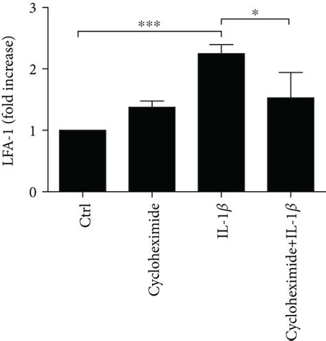 Effects Of Cycloheximide In Msc Adhesion To Huvecs A Western Blot