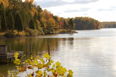 Park Of The Month Lake Anna State Park Virginia Outdoors