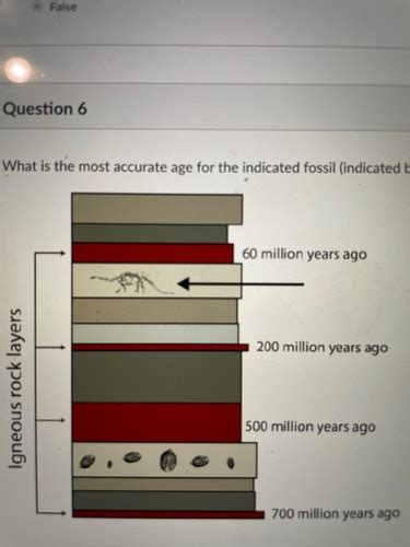 Evolution Quiz Flashcards Quizlet