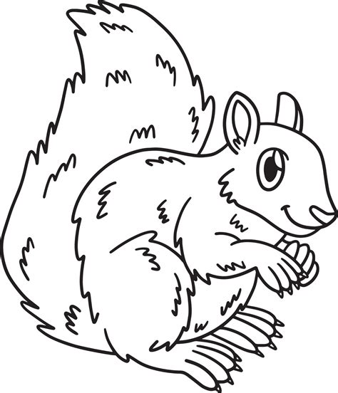 Squirrel Animal Isolated Coloring Page for Kids 10993808 Vector Art at ...