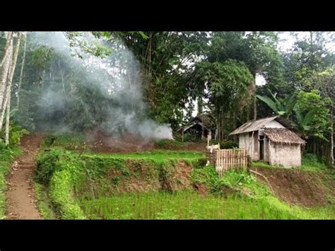 Dikira Nyasar Ke Hutan Ternyata Ada Rumah Di Balik Rimbunnya Pohon