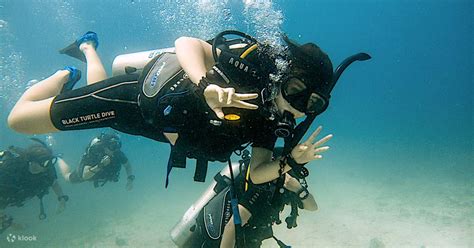 Vivez une plongée matinale inoubliable à Koh Tao avec PADI 5 Star CDC