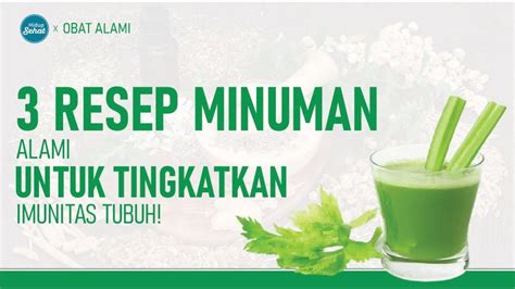 Minuman Terbaik Yang Bisa Meningkatkan Imun Daya Tahan Tubuh Jadi