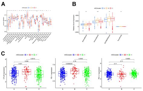 Current Oncology Free Full Text 5 Methylcytosine M5C Modification