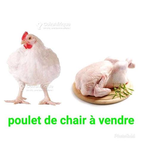 Alimentation Poulet De Chair Au S N Gal Coinafrique S N Gal