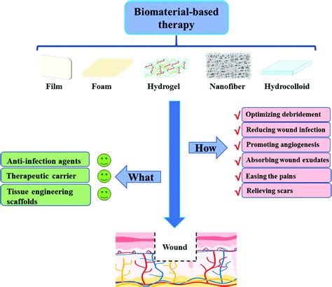 Frontiers Functional Hydrogel Dressings For Treatment Of 54 Off