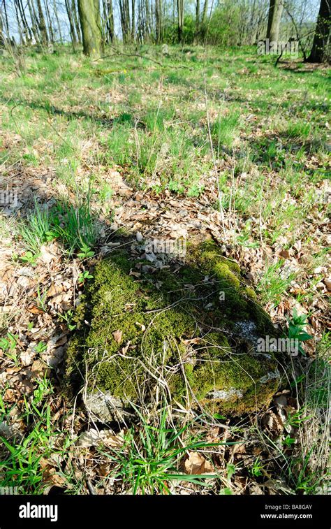 Abandoned Cemetery Castolovice Ceska Lipa Czech Republic The