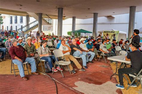 CARTA PÚBLICA A LUIS REDONDO Y JEFES DE BANCADAS DEL CONGRESO NACIONAL